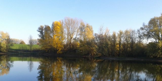 Kompensationsmaßnahmen am Stillgewässer Clossenwoy landseits des Deiches Xanthen-Beek